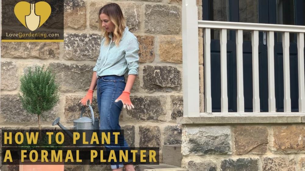 How To Plant a Formal Planter with Katie Rushworth