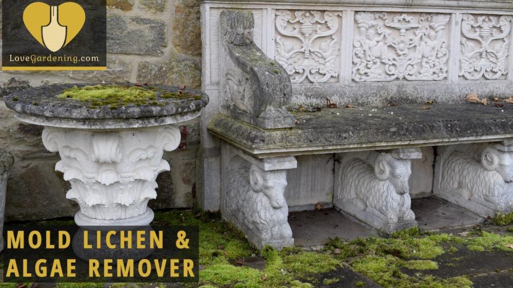 Mould & Lichen Product Spotlight