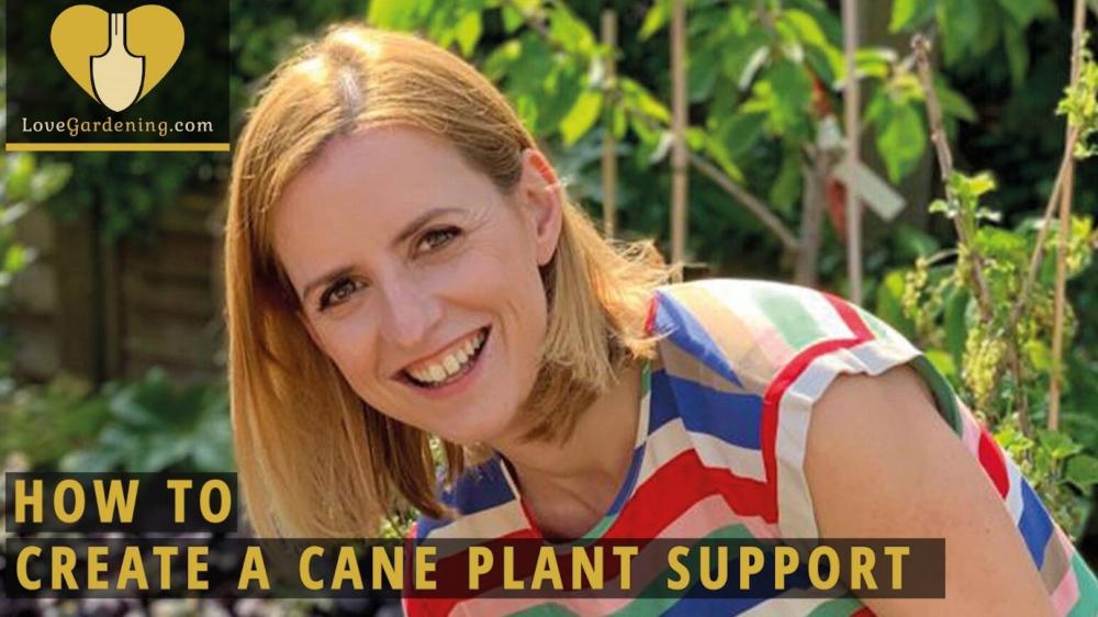 How To Create a Cane Plant Support with Katie Rushworth