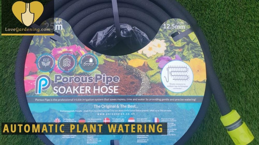 Automatic Plant Watering Spotlight